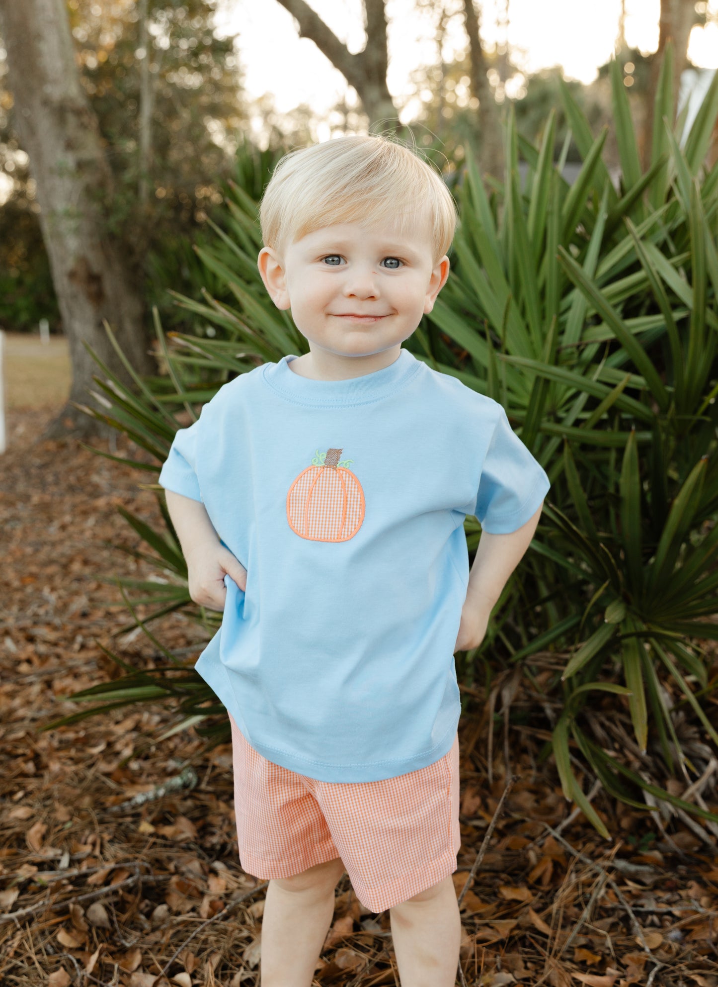 Lil Pumpkin Patch Short Set