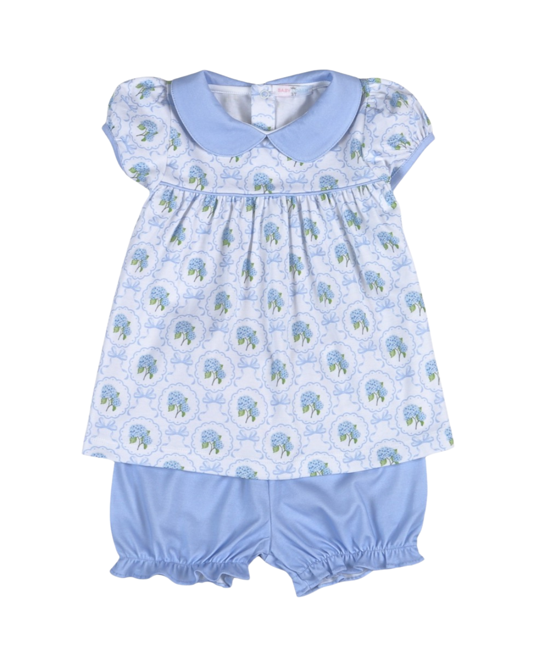 Molly Pima Hydrangeas - Bloomer Set
