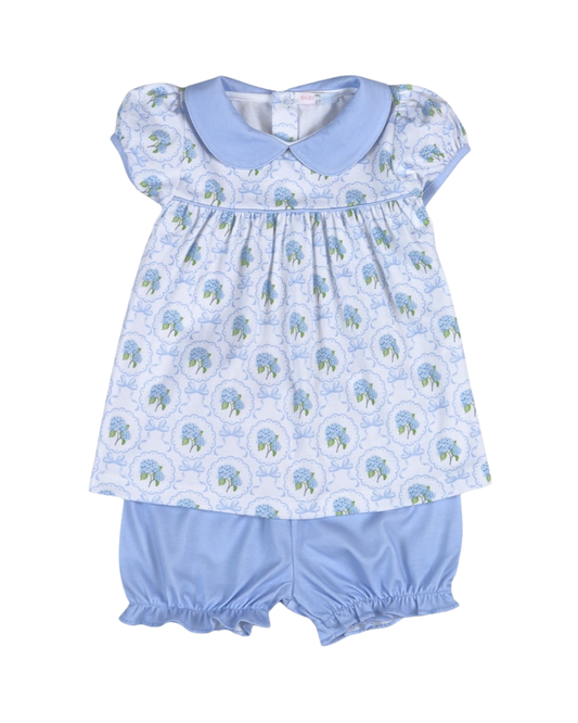 Molly Pima Hydrangeas - Bloomer Set